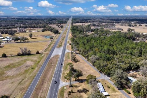 Land in Williston, Florida № 2235300 - photo 13