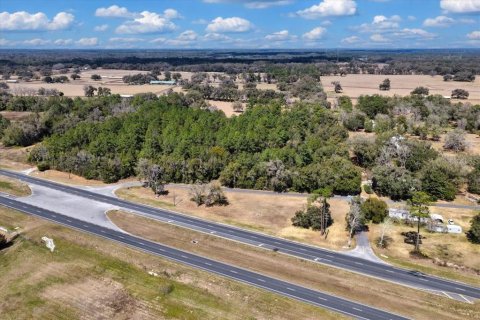 Land in Williston, Florida № 2235300 - photo 17