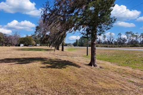 Land in Williston, Florida № 2235300 - photo 23