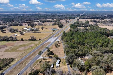 Land in Williston, Florida № 2235300 - photo 11