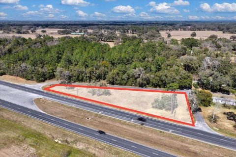 Land in Williston, Florida № 2235300 - photo 4