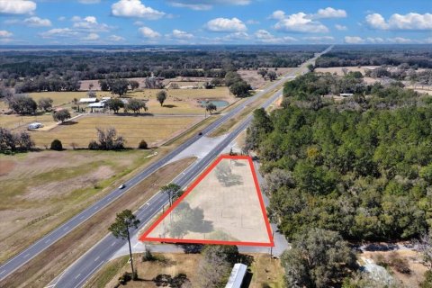 Land in Williston, Florida № 2235300 - photo 2