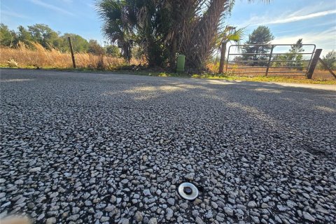 Terreno en venta en Pierson, Florida № 1898732 - foto 14