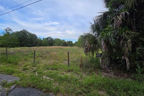 Terreno en venta en Pierson, Florida № 1898732 - foto 4