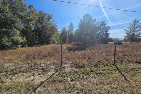 Terreno en venta en Pierson, Florida № 1898732 - foto 9