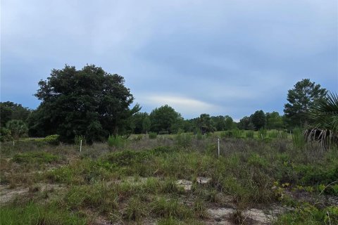 Terreno en venta en Pierson, Florida № 1898732 - foto 3