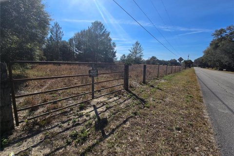 Terreno en venta en Pierson, Florida № 1898732 - foto 7