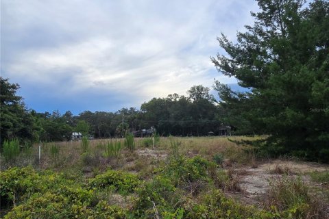Terreno en venta en Pierson, Florida № 1898732 - foto 2