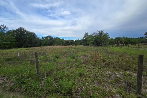 Terreno en venta en Pierson, Florida № 1898732 - foto 1