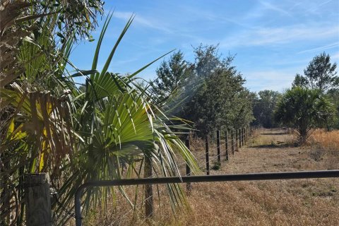 Terreno en venta en Pierson, Florida № 1898732 - foto 12