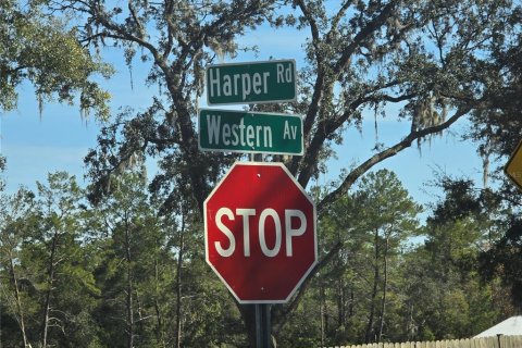 Terreno en venta en Pierson, Florida № 1898732 - foto 15