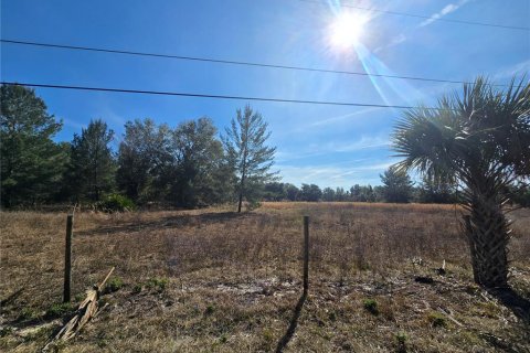Terreno en venta en Pierson, Florida № 1898732 - foto 10