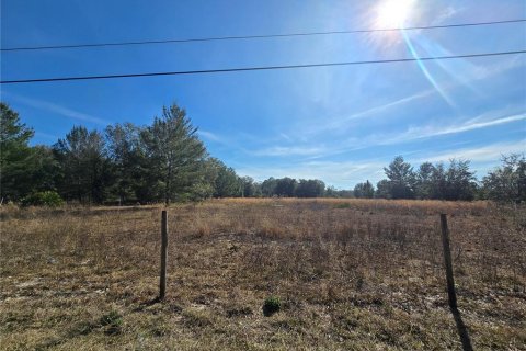 Terreno en venta en Pierson, Florida № 1898732 - foto 6