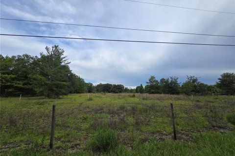Terreno en venta en Pierson, Florida № 1898732 - foto 5