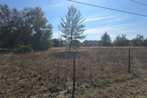 Terreno en venta en Pierson, Florida № 1898732 - foto 13