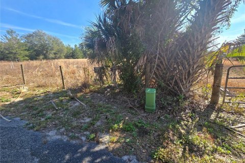 Terreno en venta en Pierson, Florida № 1898732 - foto 11