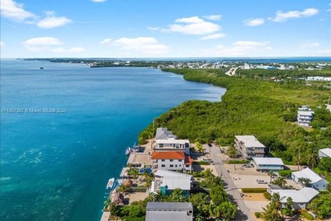 House in Tavernier, Florida 5 bedrooms, 281.12 sq.m. № 2082056 - photo 19