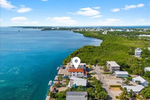 House in Tavernier, Florida 5 bedrooms, 281.12 sq.m. № 2082056 - photo 9