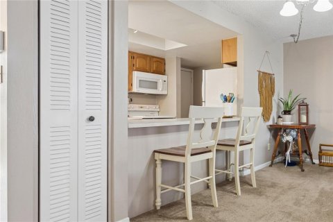 Copropriété à vendre à Temple Terrace, Floride: 2 chambres, 119.57 m2 № 2389188 - photo 14