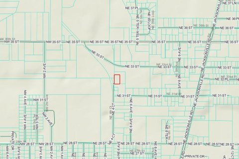 Land in Ocala, Florida № 2161776 - photo 2