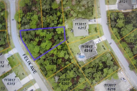 Land in North Port, Florida № 2162952 - photo 2