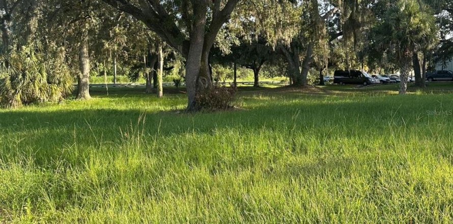 Land in Kissimmee, Florida № 1840255