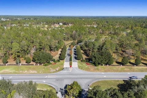 Villa ou maison à vendre à Eustis, Floride: 5 chambres, 497.58 m2 № 2142778 - photo 6