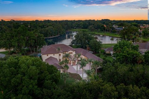 Villa ou maison à vendre à Longwood, Floride: 7 chambres, 679.39 m2 № 2116722 - photo 2