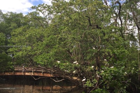 House in North Miami, Florida 3 bedrooms, 111.48 sq.m. № 1921259 - photo 26