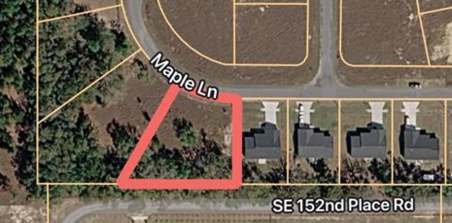 Land in Ocklawaha, Florida № 2163540