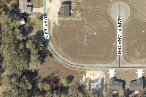Land in Ocklawaha, Florida № 2163540 - photo 5