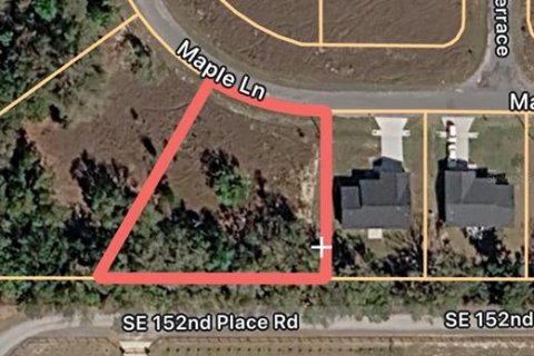 Land in Ocklawaha, Florida № 2163540 - photo 2
