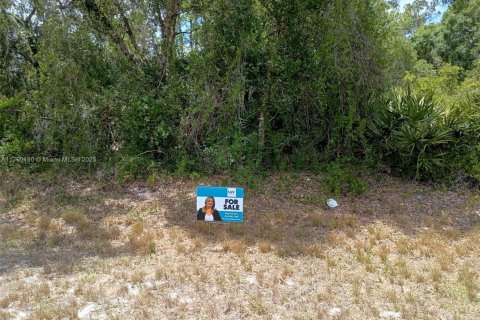 Land in Clewiston, Florida № 1863527 - photo 1