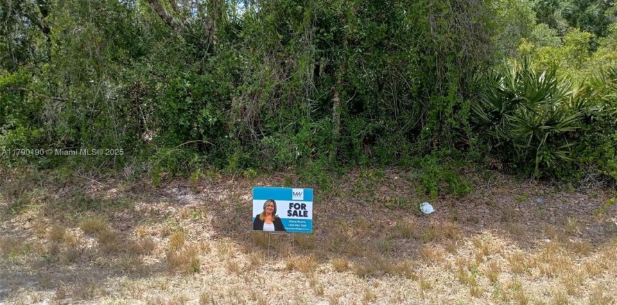 Land in Clewiston, Florida № 1863527