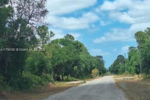 Land in Clewiston, Florida № 1863527 - photo 3