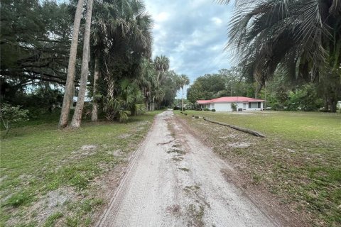 Land in Hawthorne, Florida № 2165330 - photo 9