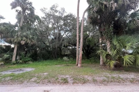 Land in Hawthorne, Florida № 2165330 - photo 14