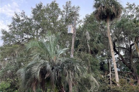 Land in Hawthorne, Florida № 2165330 - photo 12
