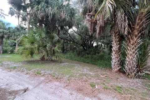 Land in Hawthorne, Florida № 2165330 - photo 8