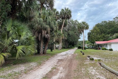 Land in Hawthorne, Florida № 2165330 - photo 15