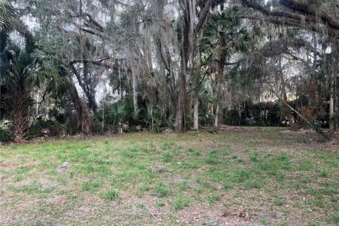 Land in Hawthorne, Florida № 2165330 - photo 2