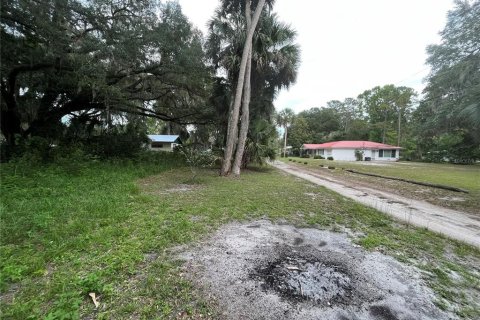 Land in Hawthorne, Florida № 2165330 - photo 11
