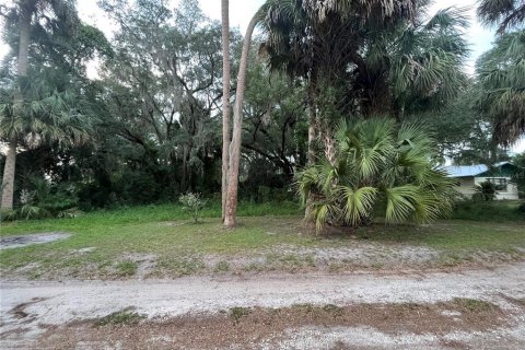 Land in Hawthorne, Florida № 2165330 - photo 7