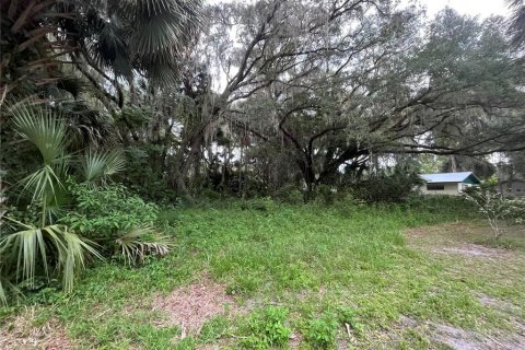 Land in Hawthorne, Florida № 2165330 - photo 10