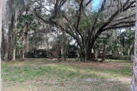 Land in Hawthorne, Florida № 2165330