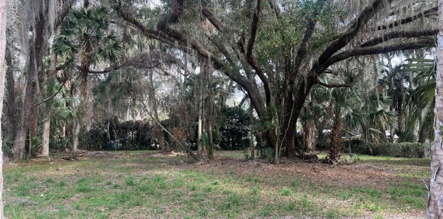 Land in Hawthorne, Florida № 2165330