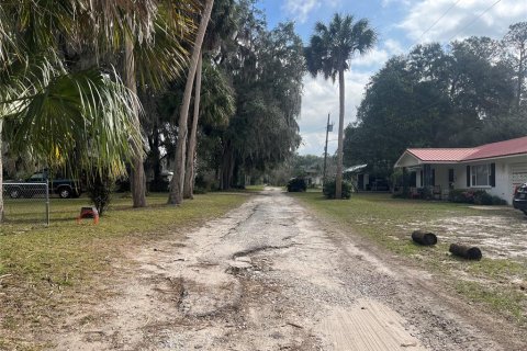 Land in Hawthorne, Florida № 2165330 - photo 5