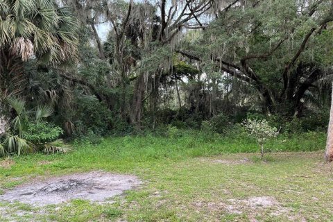 Land in Hawthorne, Florida № 2165330 - photo 16