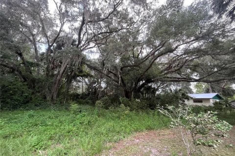 Land in Hawthorne, Florida № 2165330 - photo 13