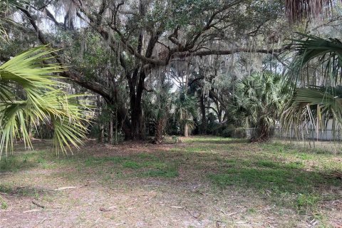 Land in Hawthorne, Florida № 2165330 - photo 4